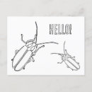 Suche nach lustige insekten postkarten Für kinder