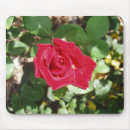Suche nach garten rose mousepads Gartenbau