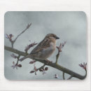 Suche nach spatz mousepads Vögel