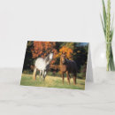 Suche nach araber karten Pferde