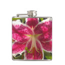 Suche nach lilie flachmänner Botanisch