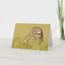 Suche nach profil karten Vögel