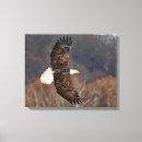 Suche nach flieger leinwandbilder Flügel