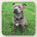 Suche nach tricks untersetzer Hund