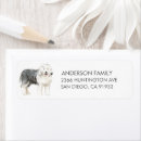 Suche nach hunde rücksende aufkleber Haustier