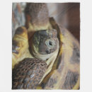 Suche nach schildkröte decken Muschel