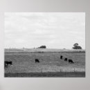 Suche nach landleben poster Fotografie