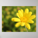 Suche nach glückliche blumen poster Positiv