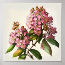 Suche nach crepe poster Blume