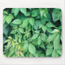 Suche nach weinrebe mousepads Traube