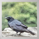 Suche nach krähen poster Gothic
