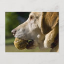 Suche nach gelber ball postkarten Kugel