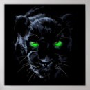 Suche nach schwarzer panther poster Natur