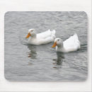 Suche nach weiße enten mousepads Vögel