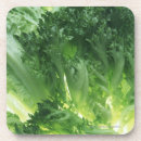 Suche nach grünes blatt untersetzer Gemüse