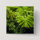 Suche nach insel buttons Grün