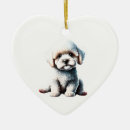 Suche nach bichon frise ornamente Haustier
