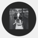 Suche nach rauchend aufkleber Hund