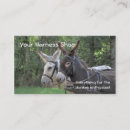 Suche nach esel andere visitenkarten Ranch