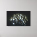 Suche nach erz poster Chemie