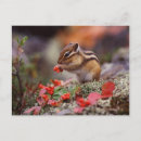 Suche nach braunes eichhörnchen postkarten Tier