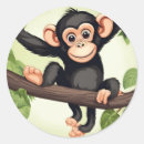 Suche nach chimpanzee aufkleber Primat
