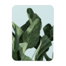Suche nach palme magnete Tropisch