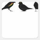 Suche nach vogel aufkleber Cool