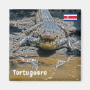 Suche nach krokodil magnete Natur