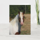 Suche nach haflinger karten Tier