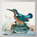 Suche nach birdwatcher poster Farbenfroh