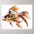 Suche nach komet poster Natur