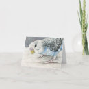 Suche nach parakeet karten Vogelvogel