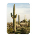 Suche nach saguaro cactus magnete Natur