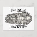 Suche nach paläontologie postkarten Vintag