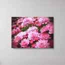 Suche nach chrysanthemen leinwandbilder Rosa