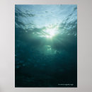 Suche nach fisch schule poster Bewegung