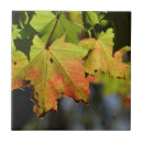 Suche nach herbstlaub fliesen Blätter