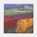 Suche nach weinland magnete Okanagan