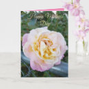 Suche nach rosa gelbe rosen karten Für sie