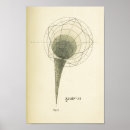 Suche nach graph poster Naturwissenschaften