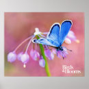 Suche nach azure poster Blauer schmetterling