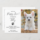 Suche nach haustiere einladungen Foto