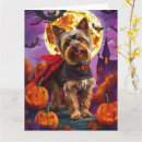 Suche nach yorkshire terrier karten Hund