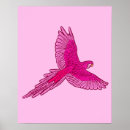 Suche nach papageien poster Vögel