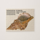 Suche nach seashell puzzle Küste