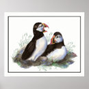 Suche nach wasserfarbe kunst Vogelvogel