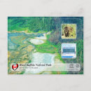 Suche nach amerikanischer büffel postkarten Nationalpark