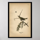Suche nach ornithologists Ornithology