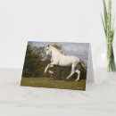 Suche nach stallion karten Grau